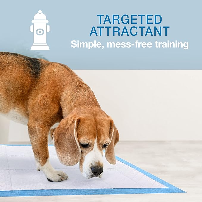 Four Paws Wee-Wee Odor Control with Febreze Freshness Pee Pads for Dogs &amp; Puppies, Leak-Proof Dog Housebreaking Potty Training Floor Protection, Spring Fresh Scent, 28" x 30", 30 Count