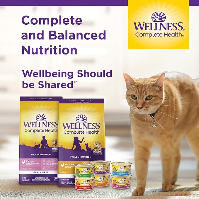 Wellness Complete Health Gravy &amp; Minced Adult Wet Cat Food, Natural, Protein-Rich, Grain-Free, 3 Ounce, 24 Pack, (Chicken &amp; Turkey Lovers Variety Pack)