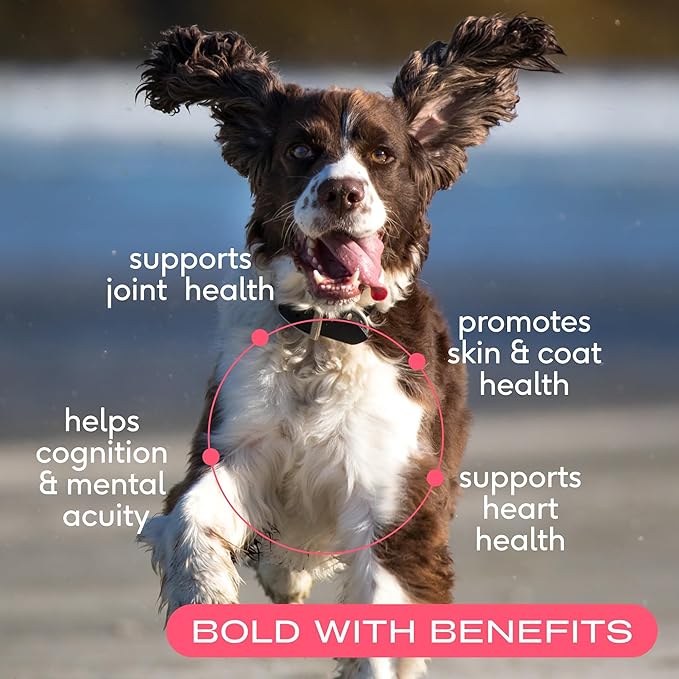 Native Pet The Daily Dog Supplement (30 Scoops) &amp; Salmon Oil for Dogs &amp; Cats (8 Oz) - 11 in 1 Multivitamin &amp; Pure Omega-3 Fish Oil Supplement for Skin &amp; Coat, Joint, Heart Health &amp; Anti-Inflammatory