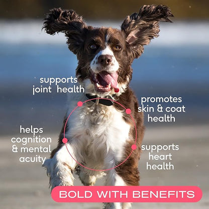 Native Pet The Daily Dog Supplement (30 Scoops) &amp; Salmon Oil for Dogs &amp; Cats (8 Oz) - 11 in 1 Multivitamin &amp; Pure Omega-3 Fish Oil Supplement for Skin &amp; Coat, Joint, Heart Health &amp; Anti-Inflammatory