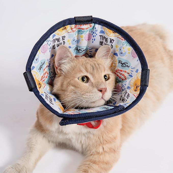 Cat Cone Collar – Colorful Cat Pattern - Lightweight Recovery Cone for Cats, Anti-Lick &amp; Anti-Scratch, Vet Recommended, Elizabethan Collar (Colorful, XXS [Neck Girth: 7.5"-10.3"])