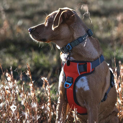 Embark Adventure Dog Harness, Reflective Trim XL Dog Harness for Extra Large Dogs No Pull - Military Grade Nylon, 2 Leash Clips &amp; Gel Lined Handle.