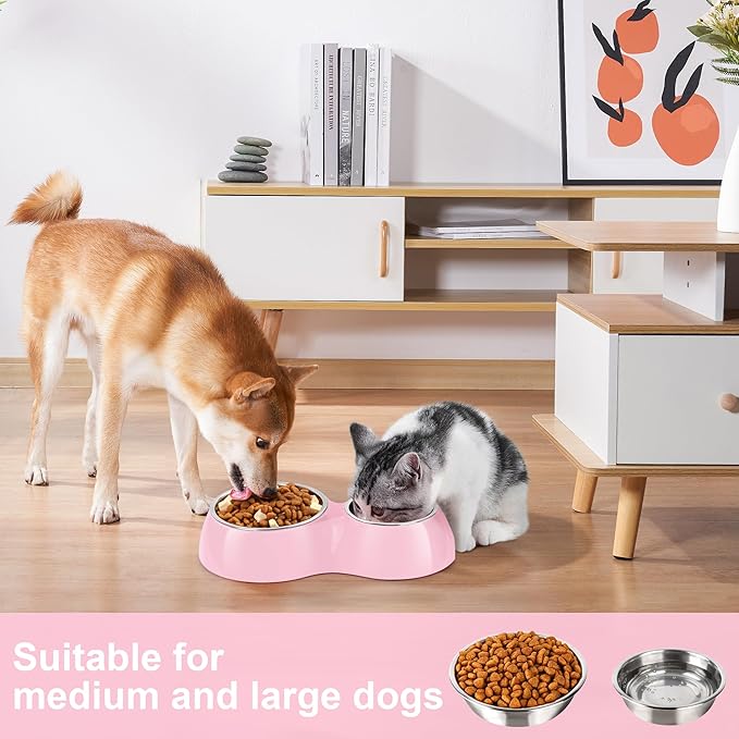 Elevated Dog Bowls Set - Non-Slip Raised Pet Feeder with Medium (10 oz) &amp; Large (20 oz) Stainless Steel Bowls - Includes Durable Resin Stand for Puppies, Adult Dogs &amp; Cats - Pink