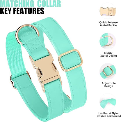 PET ARTIST Soft PU Leather Dog Collar, Bright Color &amp; Durable Dog Collar Leather with Rose Gold Quick Release Metal Buckle, Adjustable Nylon Padded Pet Collars for Medium Dogs, Neck Fit 13-19"