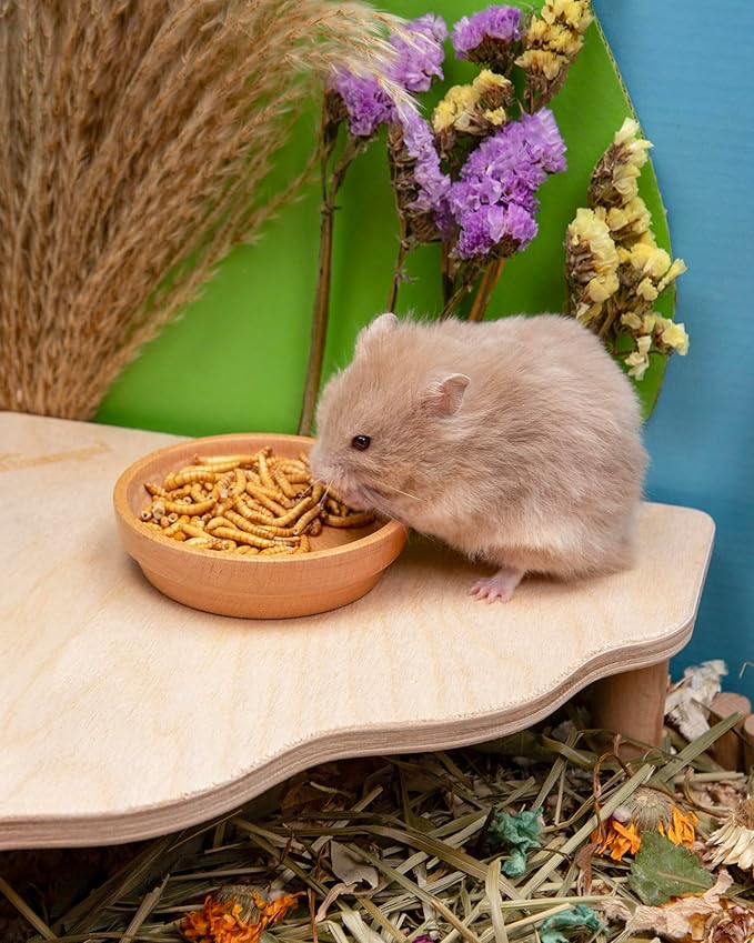 Niteangel Small Animal Snack &amp; Treats Toy - Small Critter Natural Treat for Dwarf Syrian Robo Hamsters Gerbils Mice Lemmings Sugar Glider Hedgehogs Chickens Birds or Other Small-Sized Pets