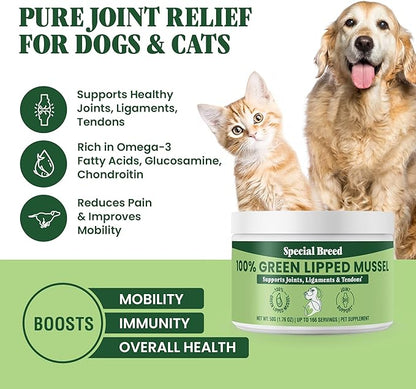 Green Lipped Mussel Powder for Dogs &amp; Cats - 100% New Zealand Green Lipped Mussels - Natural Hip &amp; Joint Supplement for Joints, Tendons, Ligaments, Muscles - 50 Grams - Up to 166 Servings