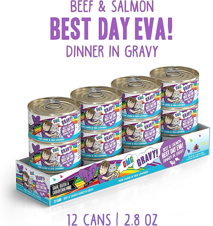 Weruva B.F.F. OMG - Best Feline Friend Oh My Gravy!, Best Day Eva! with Beef &amp; Salmon in Gravy Cat Food, 2.8oz Can (Pack of 12)