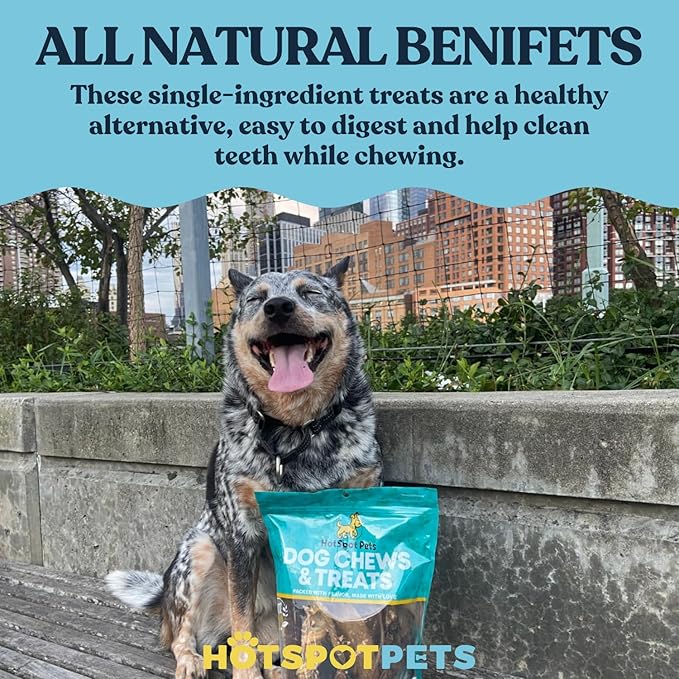 hotspot pets 10 Inch Large Rawhide Dog Bones - Made from Grass Fed Cows - Long Lasting Chews Great for Dental &amp; Oral Care - Bones for Aggressive Chewers &amp; Large Dogs (10 Inch - 4 Count)
