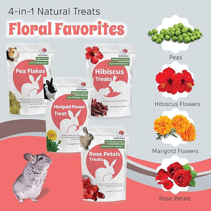 Snout and Shell Floral Favorites 4-in-1 Natural Treats for Small Pets – Pea Flakes, Marigold, Rose Petals &amp; Hibiscus – Healthy Snacks for Rabbits, Guinea Pigs, Chinchillas &amp; More