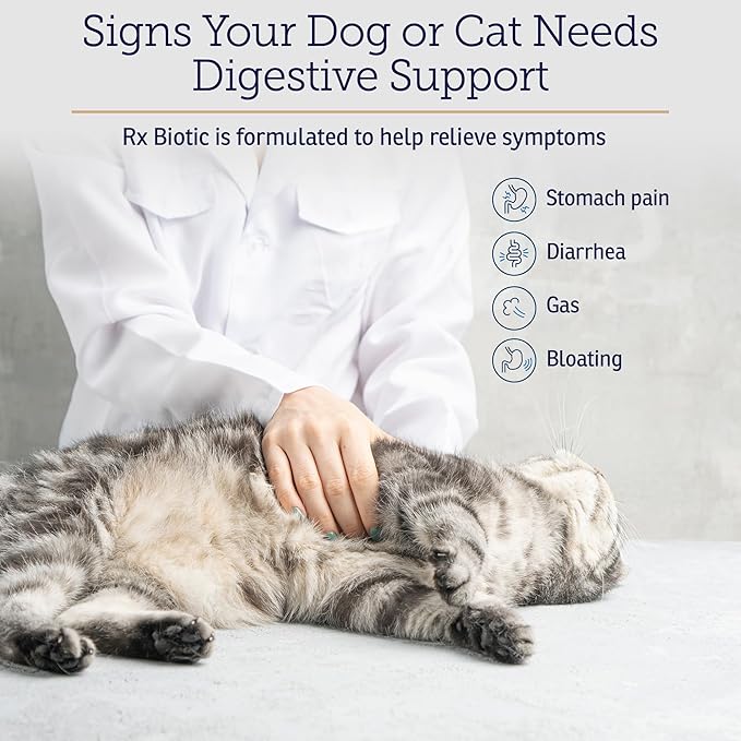 Rx Vitamins Rx Biotic - Probiotic Powder for Dogs and Cats - Cat Digestive Support &amp; Probiotic for Dogs Gut Health - Dog Probiotics for Digestive Health - 1.25oz