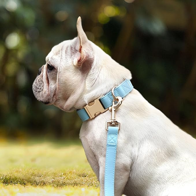 PET ARTIST Soft PU Leather Dog Collar for Small Dogs, Bright &amp; Classic Nylon Padded Durable Dog Collar Leather with Quick Release Metal Buckle Adjustable for Male Dogs, Neck Fit 9-14"