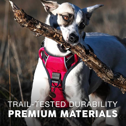 Embark Adventure Dog Harness, Reflective Trim No Pull Dog Harnesses for Small Sized Dogs - Military Grade Nylon, Front Clip with Gel Lined Handle. Soft &amp; Padded Puppy