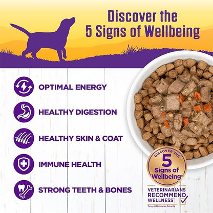 Wellness Complete Health Thick &amp; Chunky Natural Canned Wet Dog Food, Lamb &amp; Beef Stew, 12.5-Ounce Can (Pack of 12)