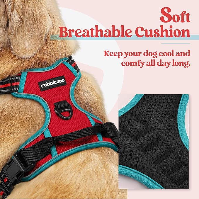 rabbitgoo Dog Harness No Pull with 2 Leash Clips, Adjustable Soft Padded, Reflective Oxford No Choke Pet Vest with Easy Control Handle for Small Dogs, Red &amp; Teal, S