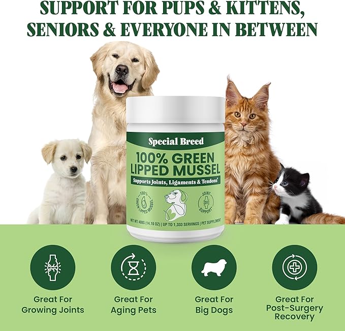 Special Breed Green Lipped Mussel Powder for Dogs &amp; Cats - 100% New Zealand Green Lipped Mussels - Natural Hip &amp; Joint Supplement for Joints, Tendons, Ligaments, Muscles - 400 Grams - 1,333 Servings