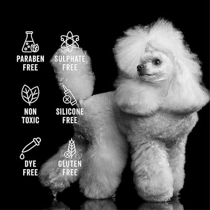 Pride and Groom The Non Shedder Box Set – Dog Shampoo &amp; Conditioner with All Natural Blend of Essential Oils &amp; Ingredients to Heal and Nourish for Long Lasting Shine &amp; Manageability – 32oz