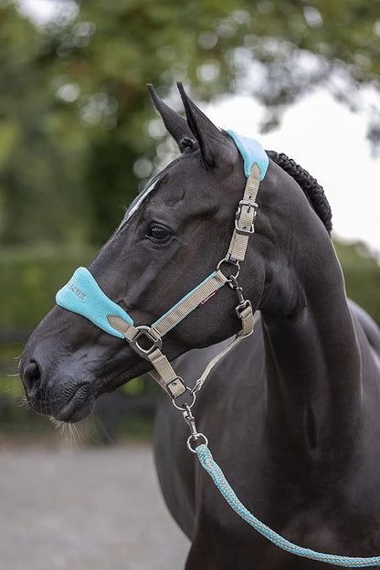 LeMieux Vogue Fleece Headcollar - Halter &amp; Leadrope - Extra Padding, Adjustable at Curb and Poll Strap