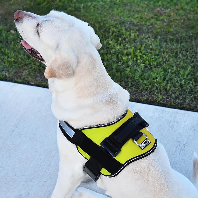 Dogline Dog Harness, Reflective No-Pull Adjustable Vest with Handle for Walking, Training, Breathable, No - Choke Harness for Small, Medium or Large Dogs Room for Patches Girth 22"-28" in Lime Green