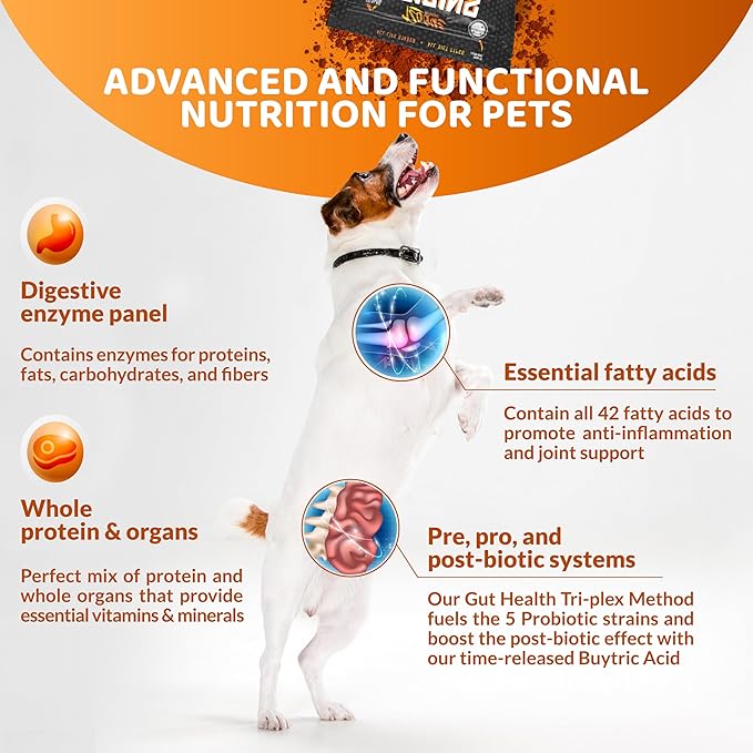 Origins 5-in-1 Dog Supplement - Powdered Food Topper w/Natural Omega 3 Fish Oil - Supports Healthy Digestion, Skin, and Coat - Helps Reduce Itching &amp; Joint Inflammation (5 lbs)
