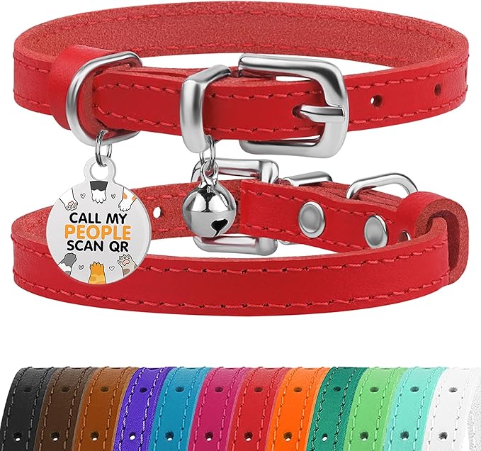BRONZEDOG Leather Cat Collar with Removable Bells Non Breakaway Kitten QR Tag for Girl Boy (9" - 12" Cats/Mini Dogs, Red &amp; Silver)
