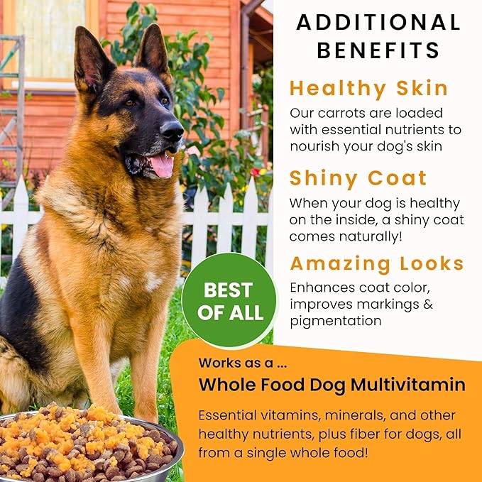 Olewo Original Carrots for Dogs – Fiber for Perfect Poop, Dog Food Toppers for Picky Eaters, Natural Skin &amp; Coat Support, Multivitamin, Probiotics for Digestive and Gut Health, 5.5 lbs