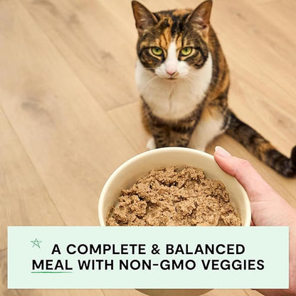 Open Farm Canned Cat Food, Paté for Complete &amp; Balanced Nutrition, Grain-Free and Legume-Free Wet Cat Food, Chicken &amp; Salmon Recipe, 5.3oz Cans (Case of 12)