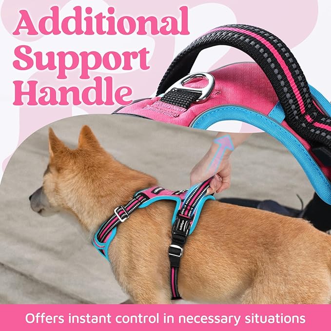 rabbitgoo Dog Harness for Large Dogs, No Pull Pet Vest with 3 Buckles, Adjustable Soft Padded Pet Harness with Easy Control Handle and Reflective Strips, Rose Pink &amp; Blue, L