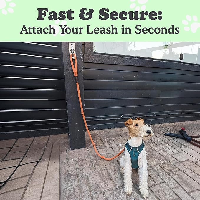 Canine Hitch- Secure Dog Leash Parking Mounted Indoor – Outdoor Wall Hook - Tie Out Stainless Steel Practical Lead Management for Home &amp; Business, Standard Size 6 Pack
