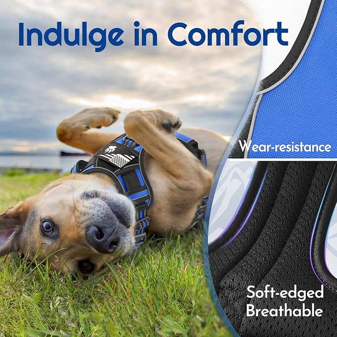 Eagloo Dog Harness for Large Dogs, Easy Wearing with 3 Buckles, Adjustable No Pull Pet Harness with 2 Rings for Walking, No Chock Reflective Soft Padded Vest with Control Handle, Blue &amp; Black, L