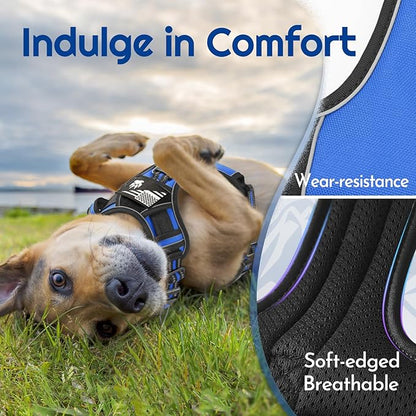 Eagloo Dog Harness for Large Dogs, Easy Wearing with 3 Buckles, Adjustable No Pull Pet Harness with 2 Rings for Walking, No Chock Reflective Soft Padded Vest with Control Handle, Blue &amp; Black, L