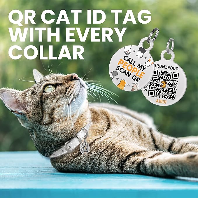 BRONZEDOG Leather Cat Collar with Removable Bells Non Breakaway Kitten QR Tag for Girl Boy (7" - 9" for Cats, White &amp; Silver)