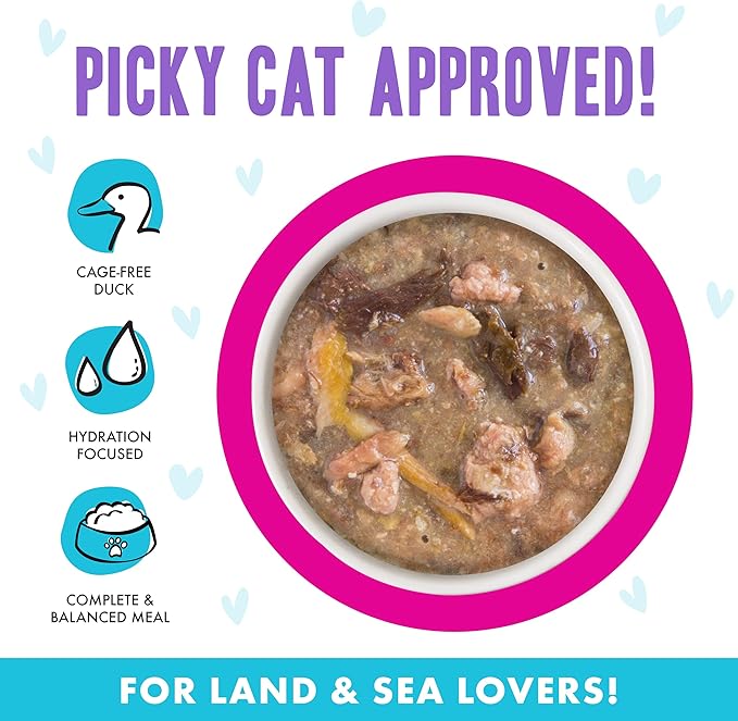 Weruva B.F.F. OMG - Best Feline Friend Oh My Gravy!, Lots-O-Luck! with Duck &amp; Tuna in Gravy Cat Food, 2.8oz Can (Pack of 12)