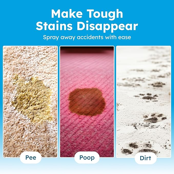 BugMD Enzyme Cleaner for Dog &amp; Cat Urine | Pet Stain and Odor Remover for Carpet &amp; Home | Unscented Urine Destroyer &amp; Deodorizer