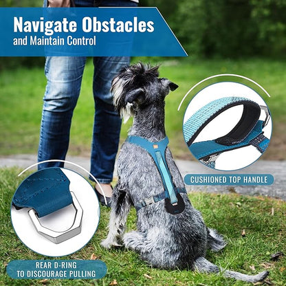No-Pull Dog Harness with Handle - Escape Proof, Anti-Pulling, Grip Control, Multi-Angle Reflective for Safe Walks &amp; Training, Easy On &amp; Off, Metal Buckle–Pet Harness, Medium/Large Dogs- H3- Blue
