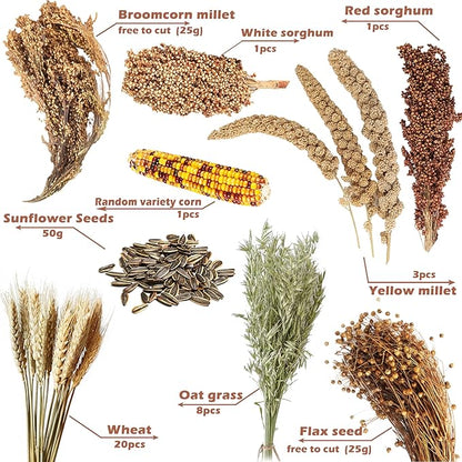 Natural Ear of Grain Flower&amp;Herb Bedding Mate Habitat Decor, Adding Fun Hamster Accessories for Hamsters Gerbils Lemming