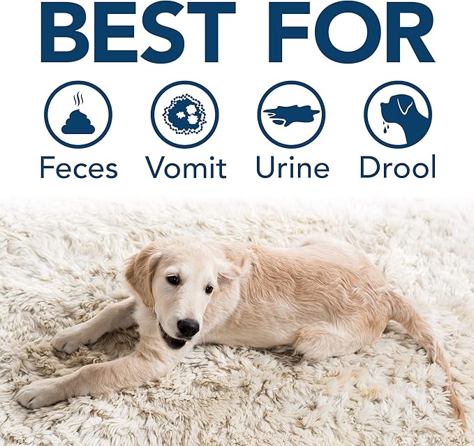 Simple Solution Stain and Odor Eliminator Spray for Dogs &amp; Cats, Enzyme Cleaner With 2X Pro-Bacteria Cleaning Power, Strong Smell Remover for Carpets, Upholstery &amp; Floors, Floral Fresh Scent, 32 oz