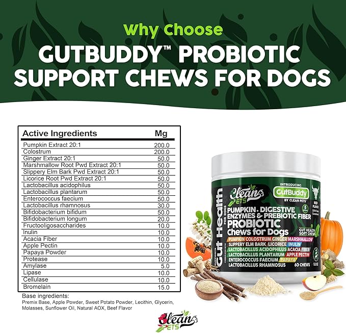 Probiotics for Dogs with Pumpkin, Colostrum, Digestive Enzymes, Ginger, Slippery Elm, Licorice, Inulin Fiber &amp; More | Beef Flavor Soft Chews for Gut Health and Digestion Dog Supplement