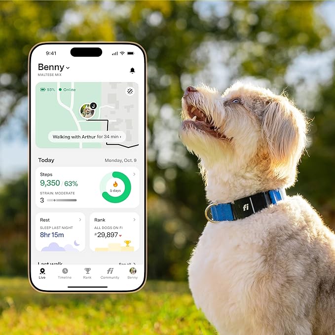 Fi New Series 3+ Smart Dog Tracker Collar – AI GPS for Dogs, Health &amp; Behavior Monitor, Virtual Fence, Escape Alerts, Waterproof, Apple Watch Compatible 12Mo Membership Included