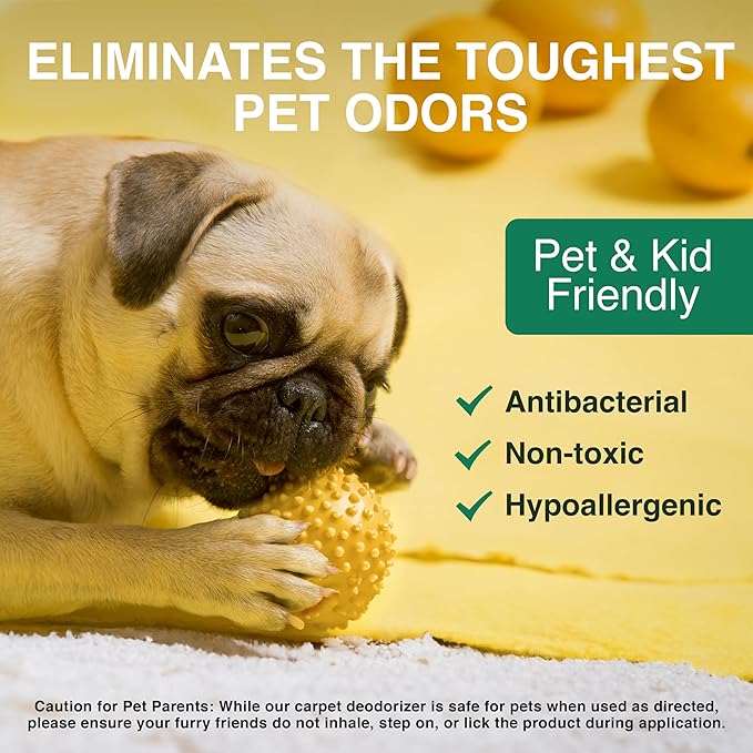 Good Natured Brand | Laundry Bundle | Carpet Freshener Lemon &amp; Eucalyptus 31oz | Pet-Friendly Carpet Deodorizer | Laundry Powder Peppermint 47oz | Hypoallergenic Laundry Powder 94 Loads