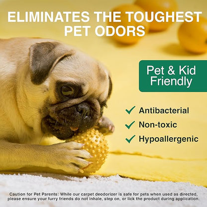 Good Natured Brand | Laundry Bundle | Carpet Freshener Lemon &amp; Eucalyptus 47oz | Pet-Friendly Carpet Deodorizer | Laundry Powder Peppermint 47oz | Hypoallergenic Laundry Powder 94 Loads