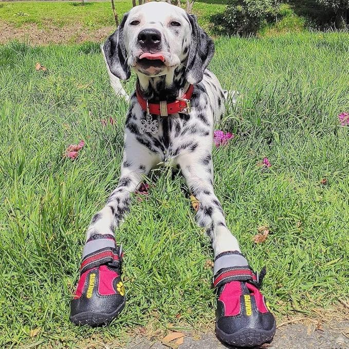 QUMY Dog Shoes for Large Dogs, Medium Dog Boots &amp; Paw Protectors for Winter Snowy Day, Summer Hot Pavement, Waterproof in Rainy Weather, Outdoor Walking, Indoor Hardfloors Anti Slip Sole Red Size 3