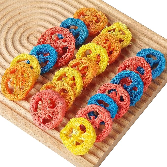 15 Pcs Fruit Flavored Loofah Slices Rabbit Chew Toys Guinea Pig Chew Toys Small Pet Chews Bunny Toys for Teeth Rabbit Toys