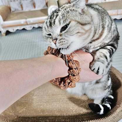 Natural Silvervine Gall Fruit Cat-Attracting Bracelet,Interactive Cat Toy for Indoor Cats,Cat Chew Toy with Gallfruit | Catnip &amp; Silvervine Alternative, Stress Relief &amp; Gift