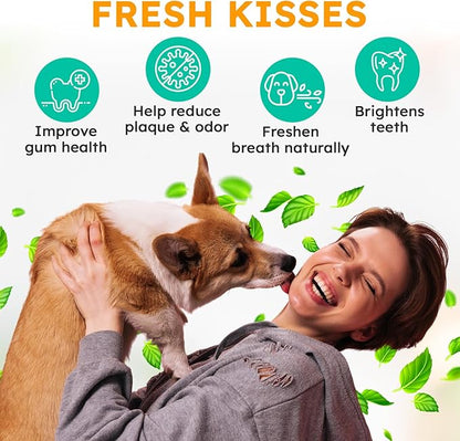 Dog Teeth Cleaning Powder - Dog Breath Freshener + Dental Care for Doggies &amp; Cats + Tartar Remover for Teeth with Natural Ingredients + Probiotics Blend (Mint - 200g)