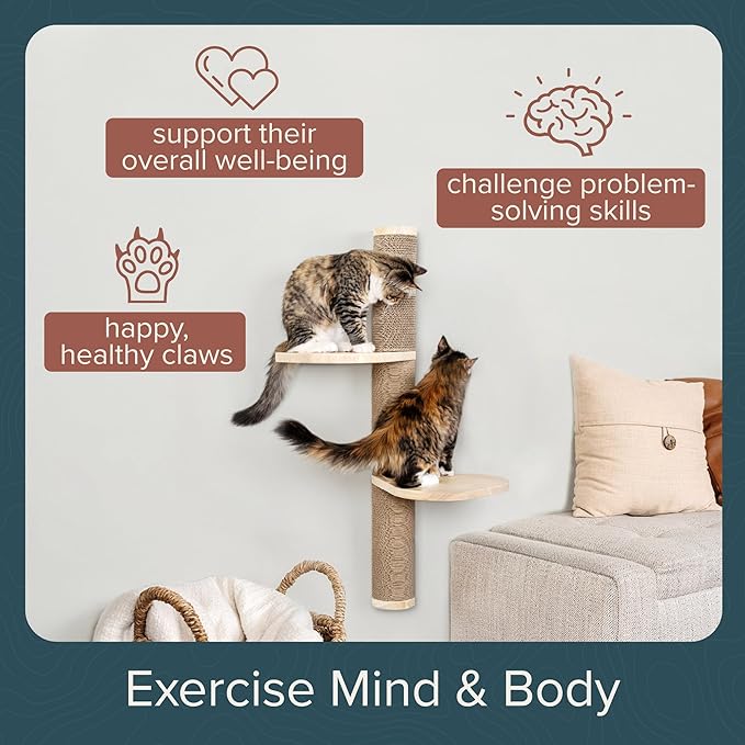 Cat Climbing Wall System – Modern Floating Shelves &amp; Perches for Cats - Sunrise Steps | Ascentials by FurHaven
