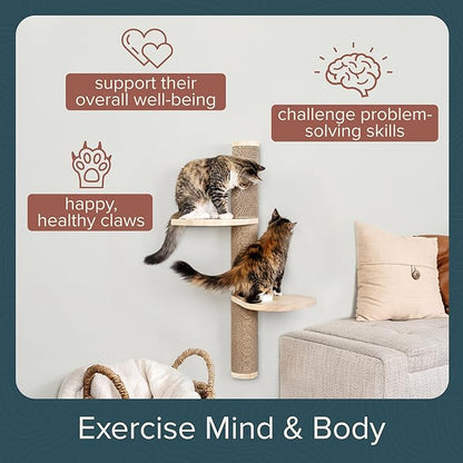Cat Climbing Wall System – Modern Floating Shelves &amp; Perches for Cats - Sunrise Steps | Ascentials by FurHaven