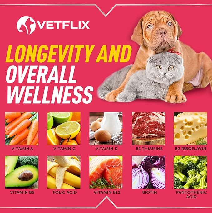 Pet Vitamins 10 in 1 - Made in USA - Glucosamine for Dogs &amp; Cats - Dog Supplement for Pet Joint Health - Natural Cat, Dog Multivitamin - All Ages &amp; Breeds - Folic Acid for Cats &amp; Dogs Immune - 2 Fl Oz