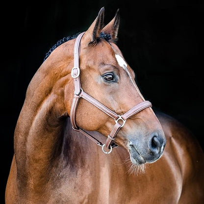 HORZE Warren Soft Adjustable Genuine Leather Horse Halter | Stainless Steel Hardware - Light Brown - Horse