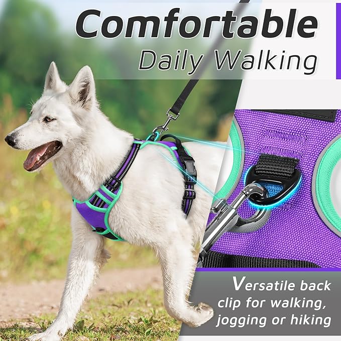 Eagloo Dog Harness for Large Dogs, No Pull Service Vest with Reflective Strips and Control Handle, Adjustable and Comfortable for Walking, No Choke Harness with 2 Metal Rings, Purple &amp; Green, M