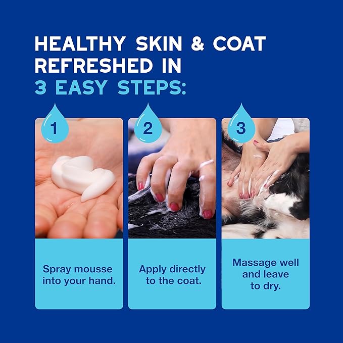 DOUXO® Skin &amp; Coat SPA - Ultra-Safe Quick Refresh Leave-on Mousse for Dogs, 10 fl oz, Safely Cleans and Refreshes, Leaves The Coat Soft, Radiant and Smelling Great, Skin-Friendly Formula